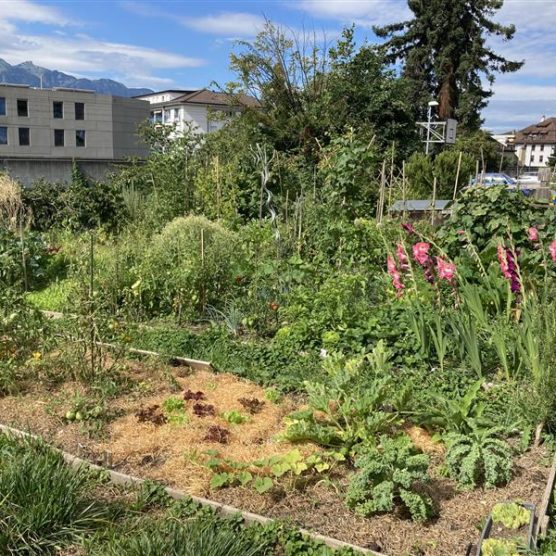 Potager du Potaclos
