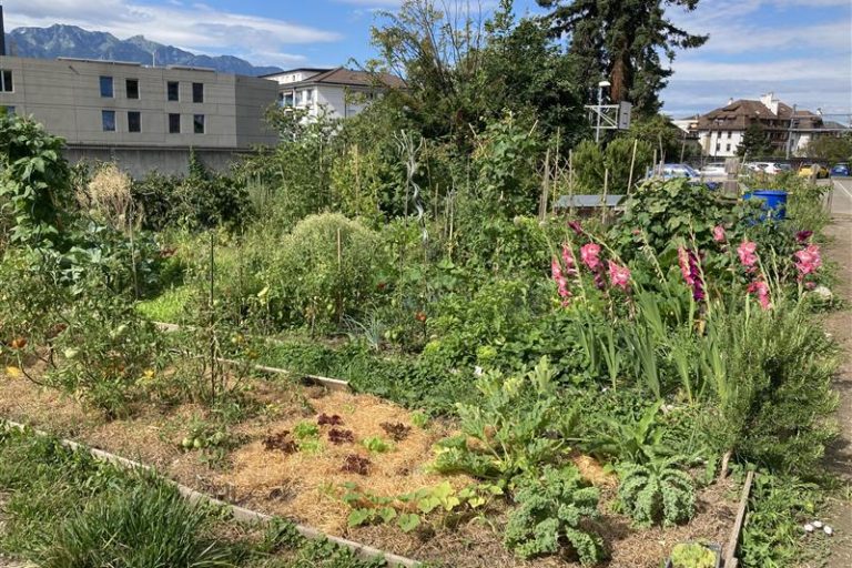 Potager du Potaclos