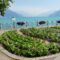 Distribution gratuite de légumes récoltés par la Ville