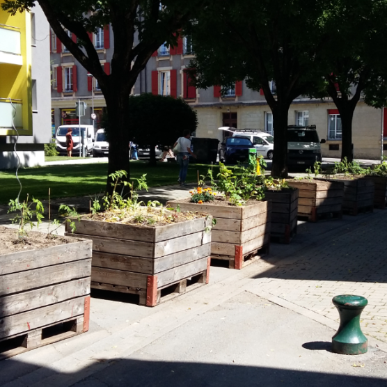 Potagers urbains de la Byronne