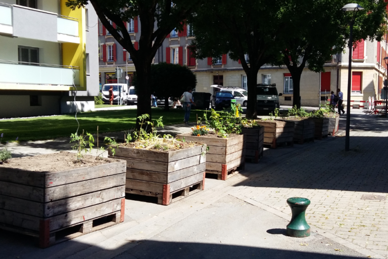 Potagers urbains de la Byronne