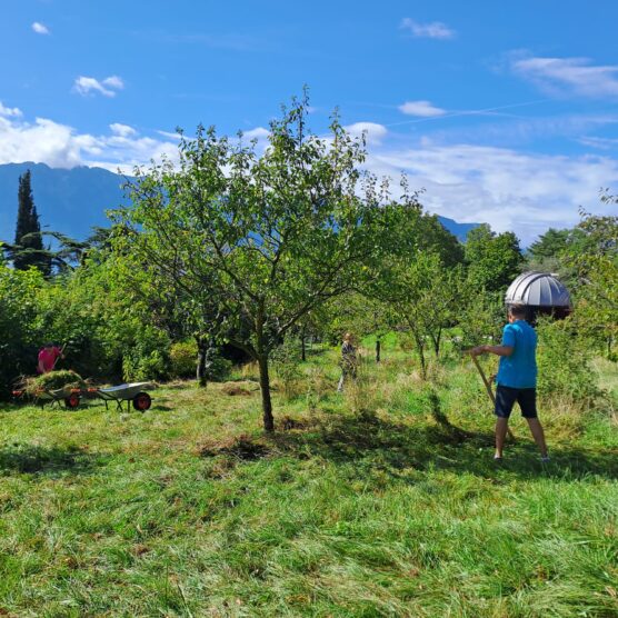 Jardin de l'Observatoire