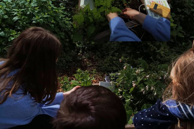 RENCONTRES NATURECULTURELLES