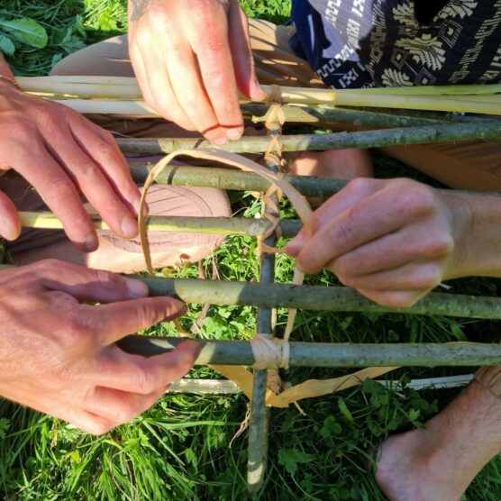 Inscription édition 2026 – Les Sentiers des savoirs