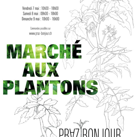 Marché aux plantons de Praz Bonjour
