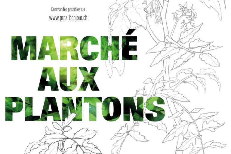 https://veveysengage.ch/wp-content/uploads/Praz-Bonjour-afficheA3-web-150x100.jpg