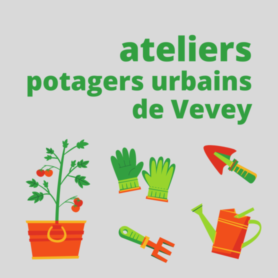 Se rassembler pour jardiner ! Ateliers 2022 pour les potagers urbains de Vevey