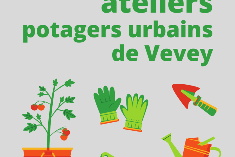 https://veveysengage.ch/wp-content/uploads/Visuel-bibliotheque-150x100.png