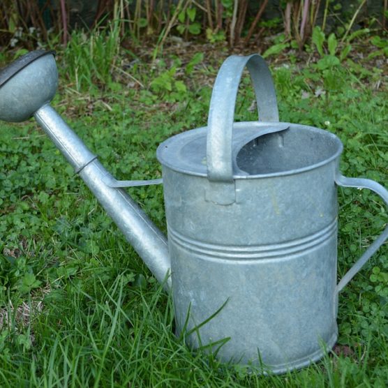 Cours de jardinage sur l’économie de l’eau